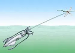 An illustration of a freshwater squid shooting water at a dragonfly