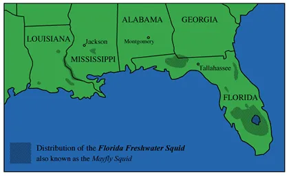 A map of the Gulf Coast states showing the freshwater squid's distribution concentrated along Florida's coastline, with Jackson, Montgomery, and Tallahassee marked