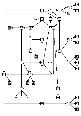 The Lost Nose's possible reading routes